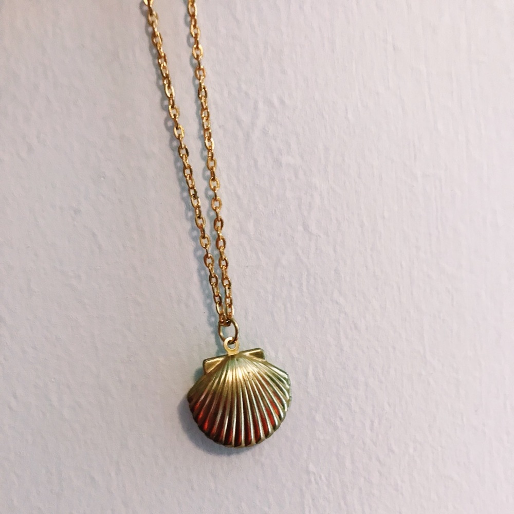 Golden Sea Shell locket necklace!